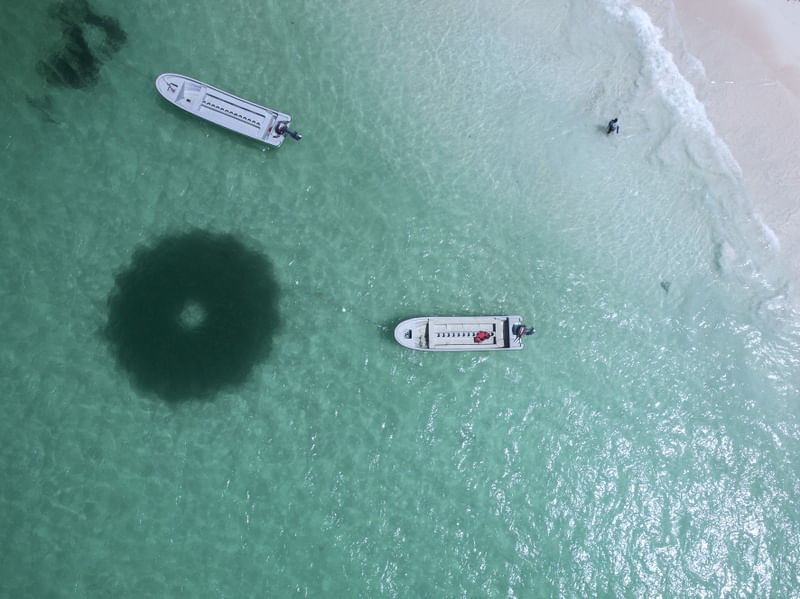 OS DOIS BARCOS XVI