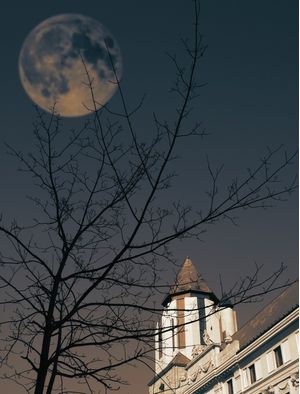 LUA & ÁRVORE VI