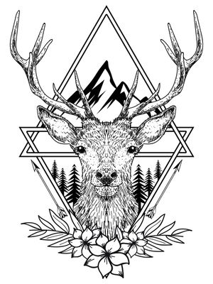 DEER 02