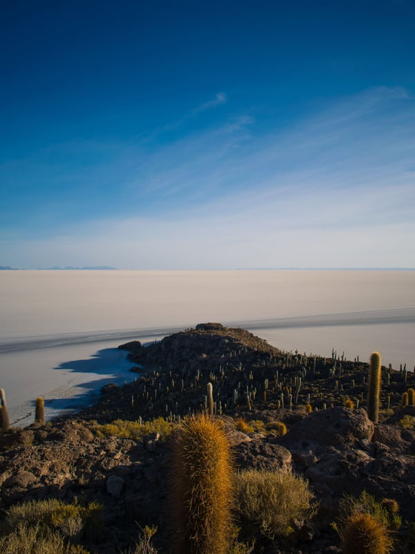 O DESERTO E O SAL