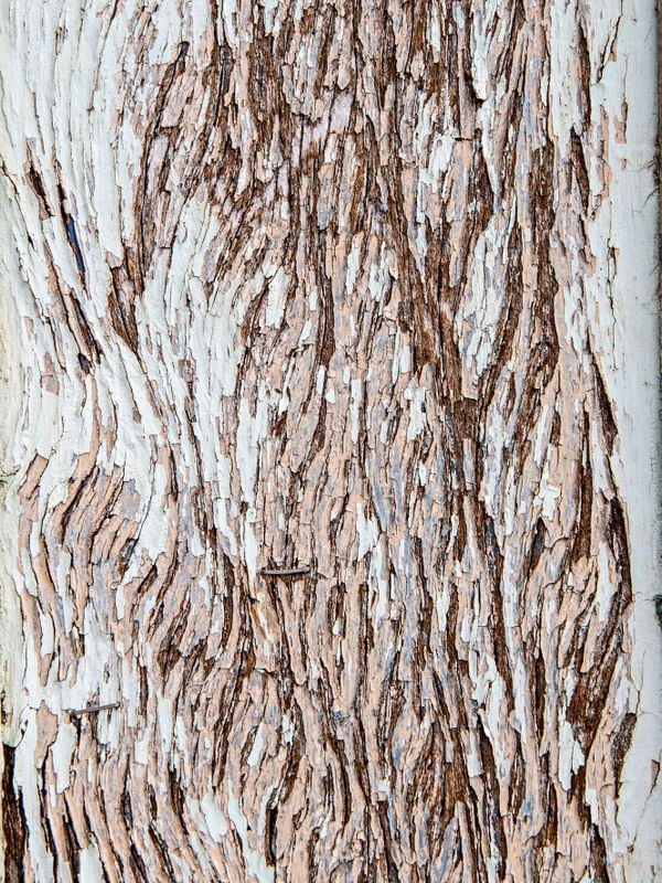 TEXTURAS DA MADEIRA ANTIGA III