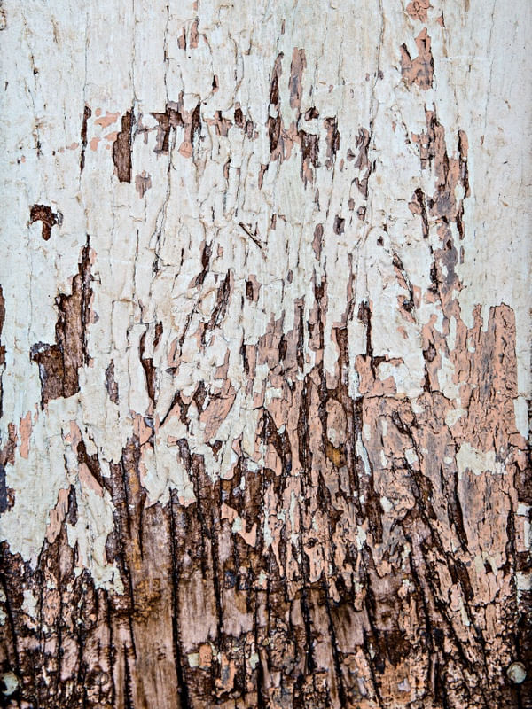 MADEIRAS ANTIGAS E COM TEXTURAS