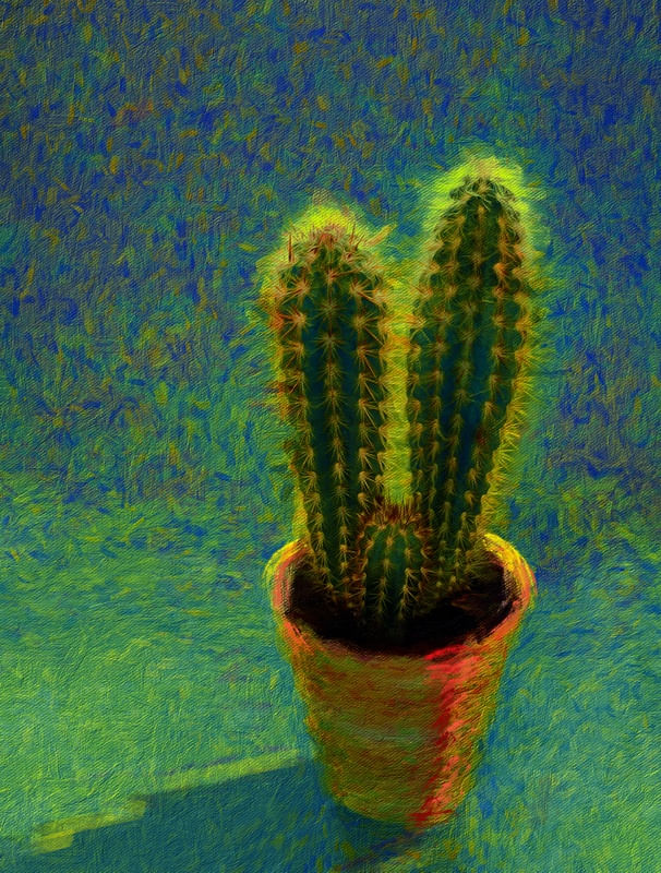 VASO COM CACTOS