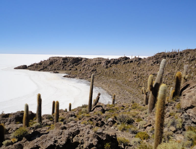 ILHA PESCADO NO SALAR DE UYUNI