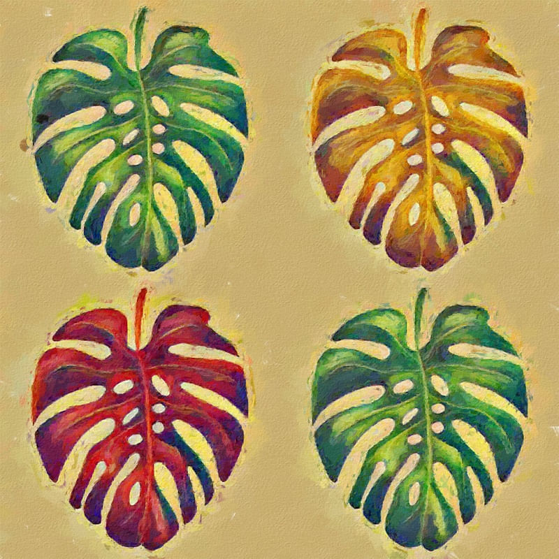 FOUR SEASON