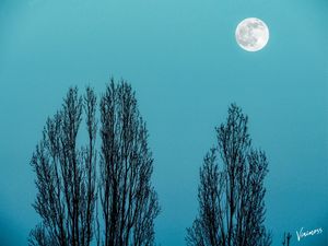 LUAR AZUL