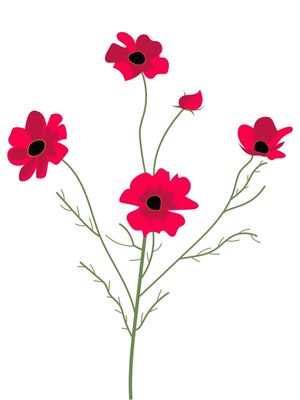 FLORES VERMELHAS EM UM GALHO