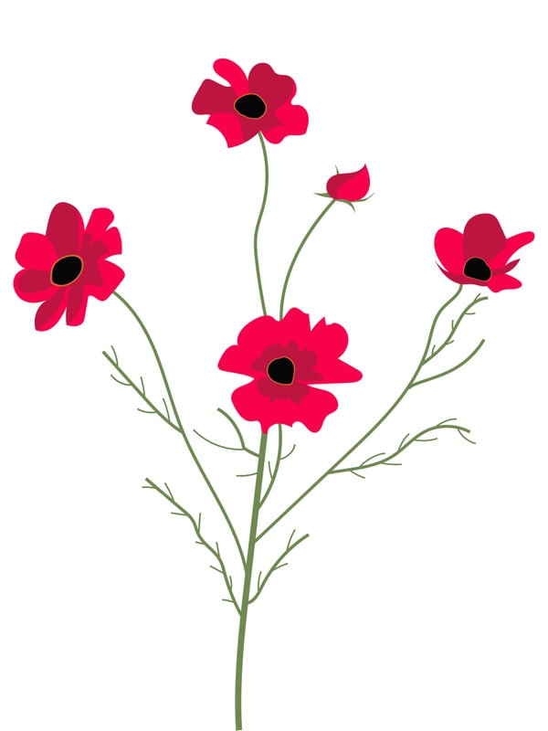 FLORES VERMELHAS EM UM GALHO