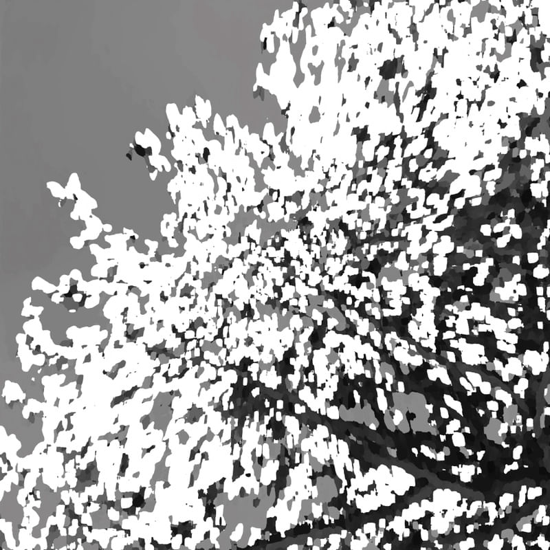 NATUREZA ABSTRATA 04 ARTISTA GLORIA RIMES