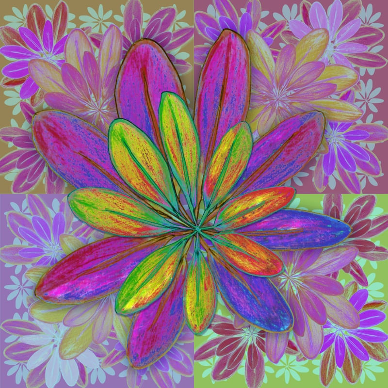 FOLHAS 4 ROSA