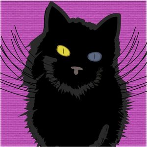 GATO MEIO AO ROSA