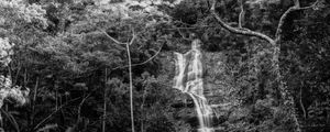 CASCATINHA, THE MAGIC FOREST, RIO DE JANEIRO