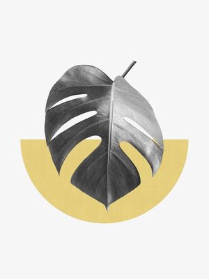 GEOMÉTRICO E TROPICAL I