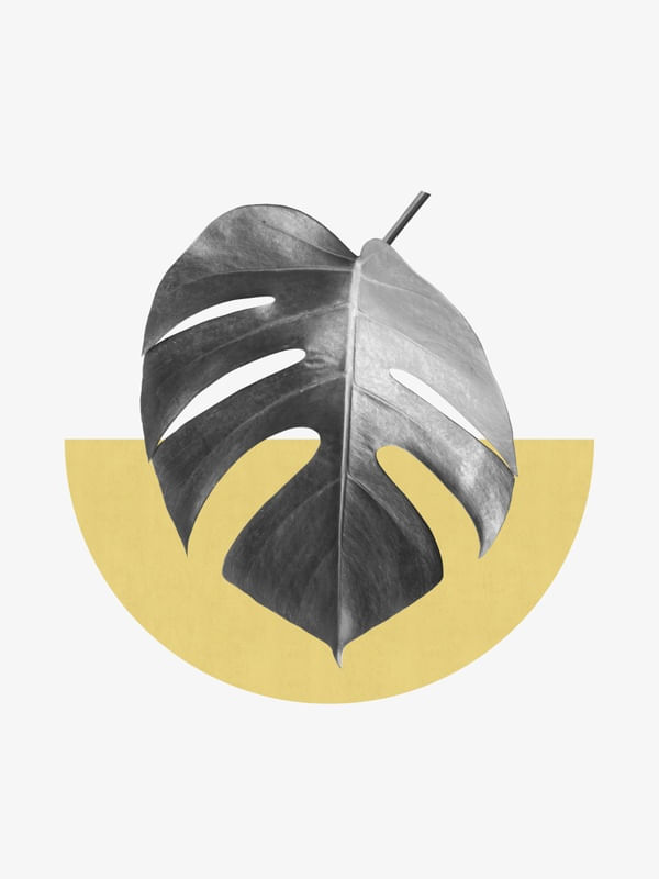 GEOMÉTRICO E TROPICAL I