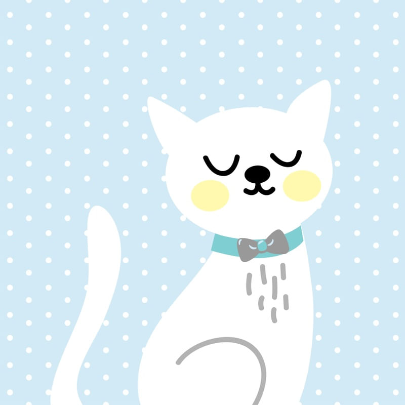GATINHO AZUL