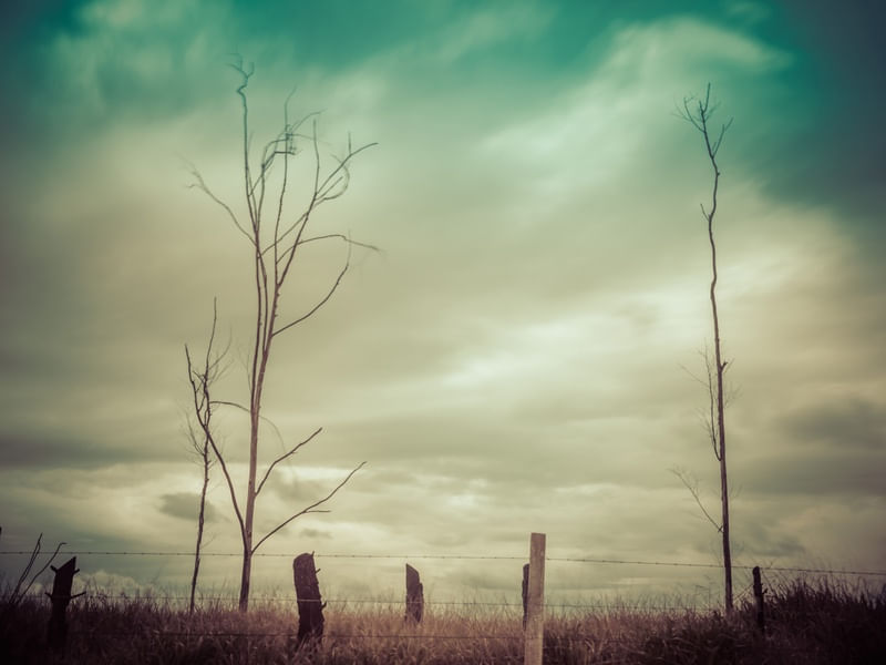 NATUREZA SURREAL_2