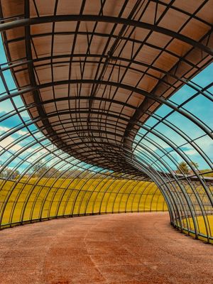 JARDIM BOTÂNICO DE CURITIBA FUNDOS