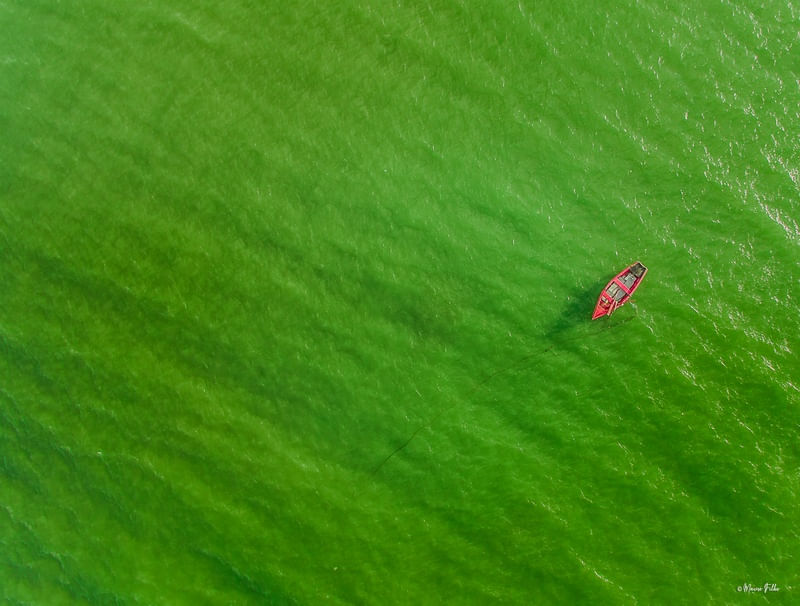 RED BARCO - OLINDA (PE)