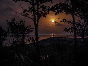 SUNRISE: SOMBRAS