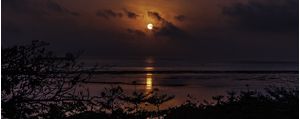 SUNRISE: MAR