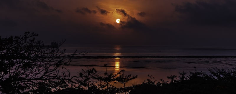 SUNRISE: MAR