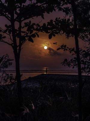 SUNRISE: ENTRE ÁRVORES