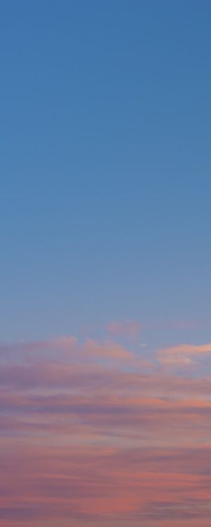 VANILLA SKY 1 - TRÍPTICO A