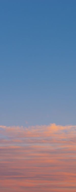 VANILLA SKY 1 - TRÍPTICO B