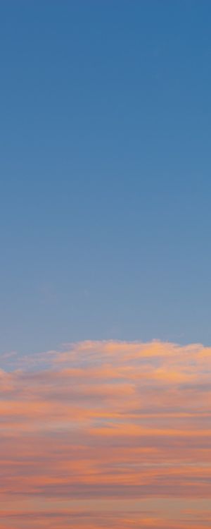 VANILLA SKY 1 - TRÍPTICO C
