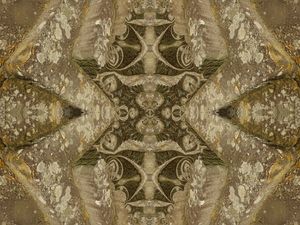 STONES METAMORPHOSIS 1