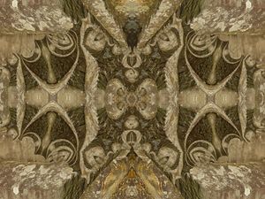 STONES METAMORPHOSIS 2