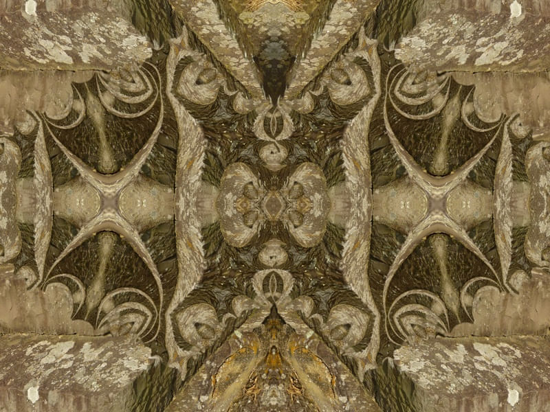 STONES METAMORPHOSIS 2