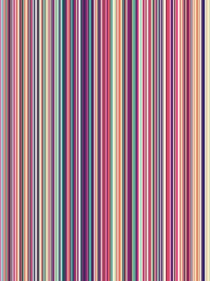 LINES AND COLORS
