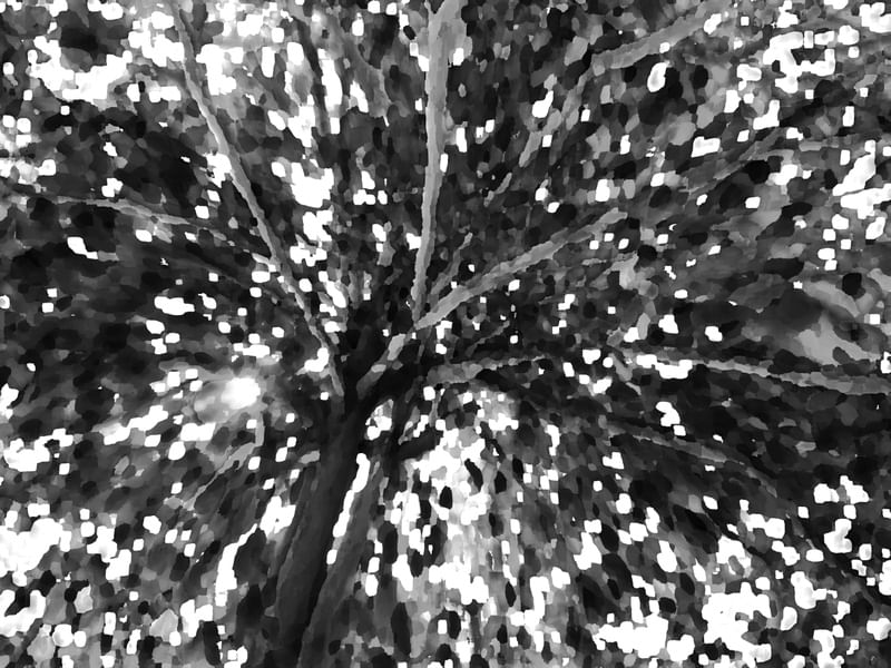 NATUREZA ABSTRATA 08 ARTISTA GLORIA RIMES