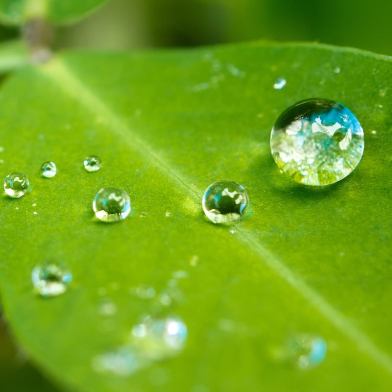 GOTAS DE CHUVA 2