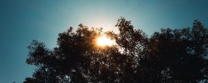 FRIO SOL DE OUTONO