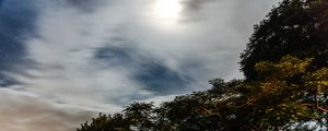 FLORESTA DE OUTUBRO