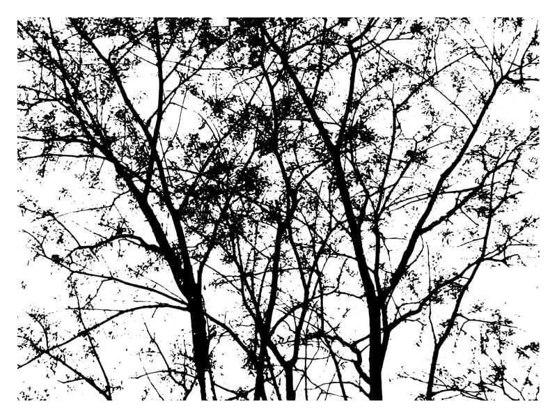 NATUREZA BRASIL PB1