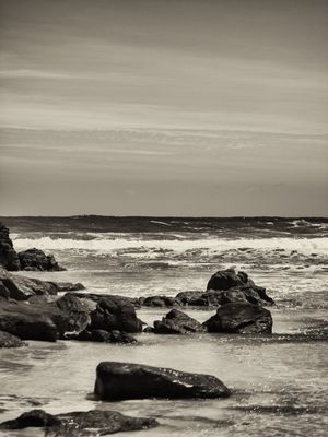 SEA SCAPES II