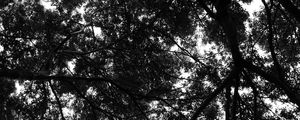RITMO DE INVERNO - 3
