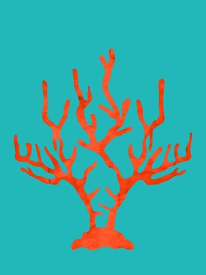 CORAL VERMELHO