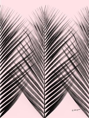 TROPICAL ROSETEXTURE