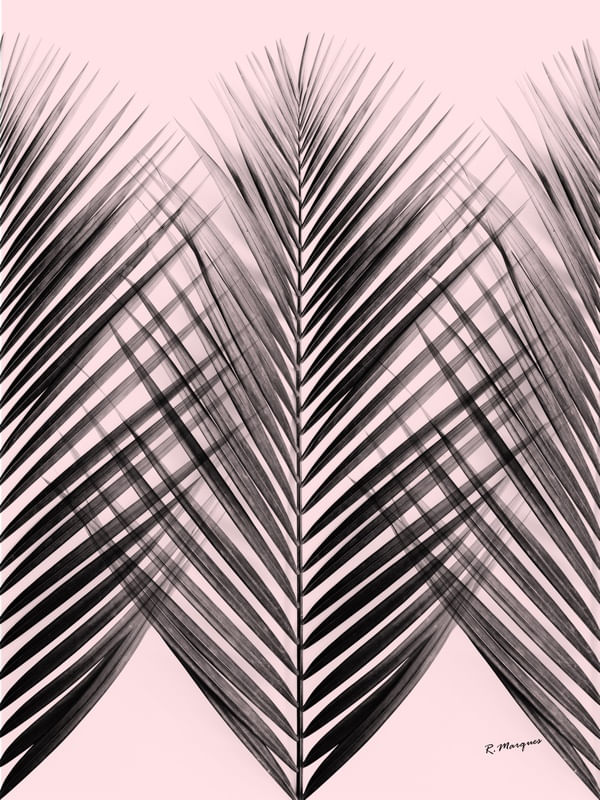 TROPICAL ROSETEXTURE