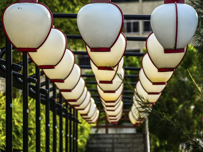 LUZES DO JARDIM JAPONÊS