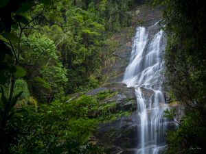CASCATINHA 2, THE MAGIC FOREST, RIO DE JANEIRO