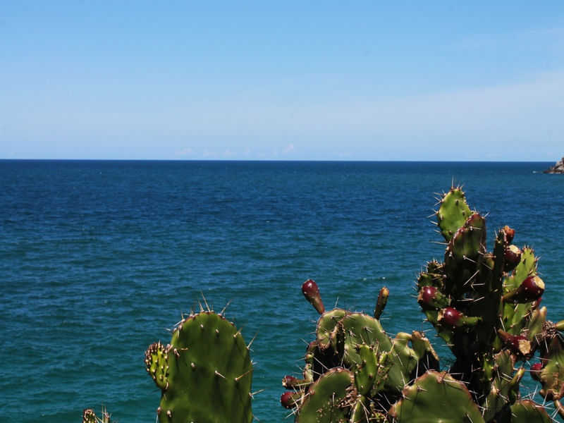 HORIZONTE PROTEGIDO