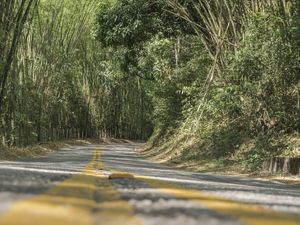 CAMINHOS DE GUARAMIRANGA