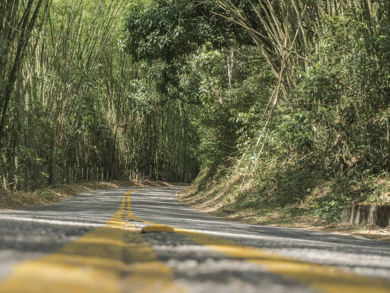 CAMINHOS DE GUARAMIRANGA
