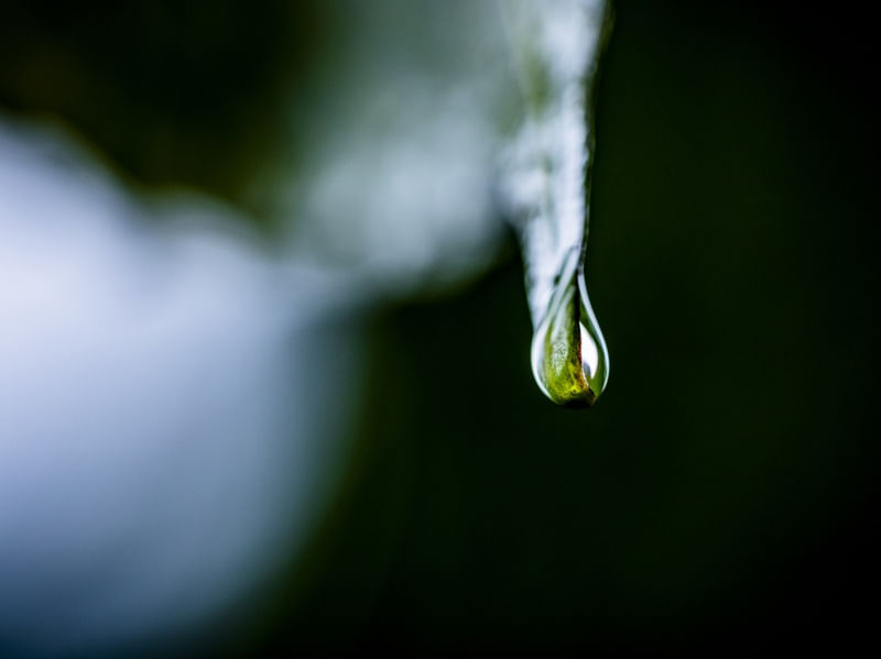 GOTA DE CHUVA 3 (MACRO COLLECTION)