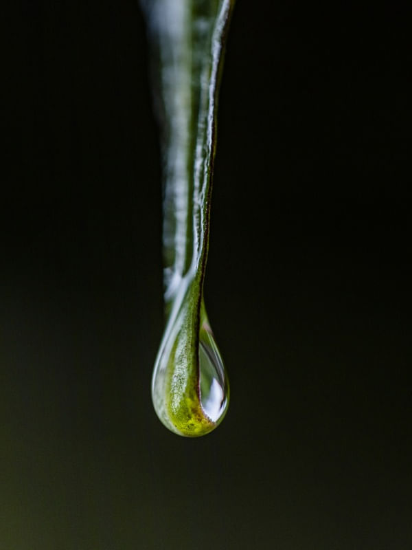 GOTA DE CHUVA 4 (MACRO COLLECTION)